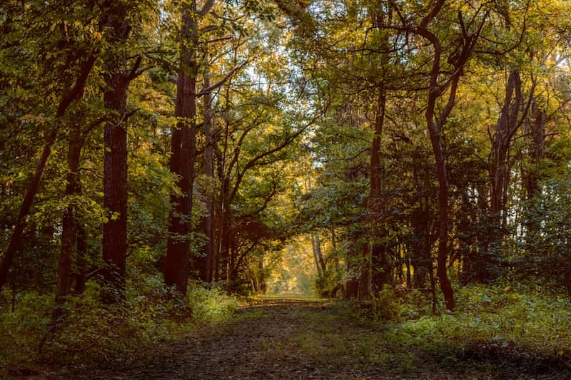 RHB Assets From IGX: Prime Hook National Wildlife Refuge Delaware