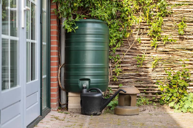 Green rain barrel beside back door.