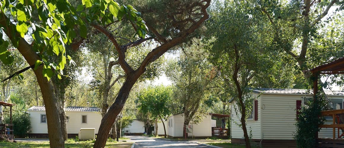 Mobile homes set amongst old growth trees.