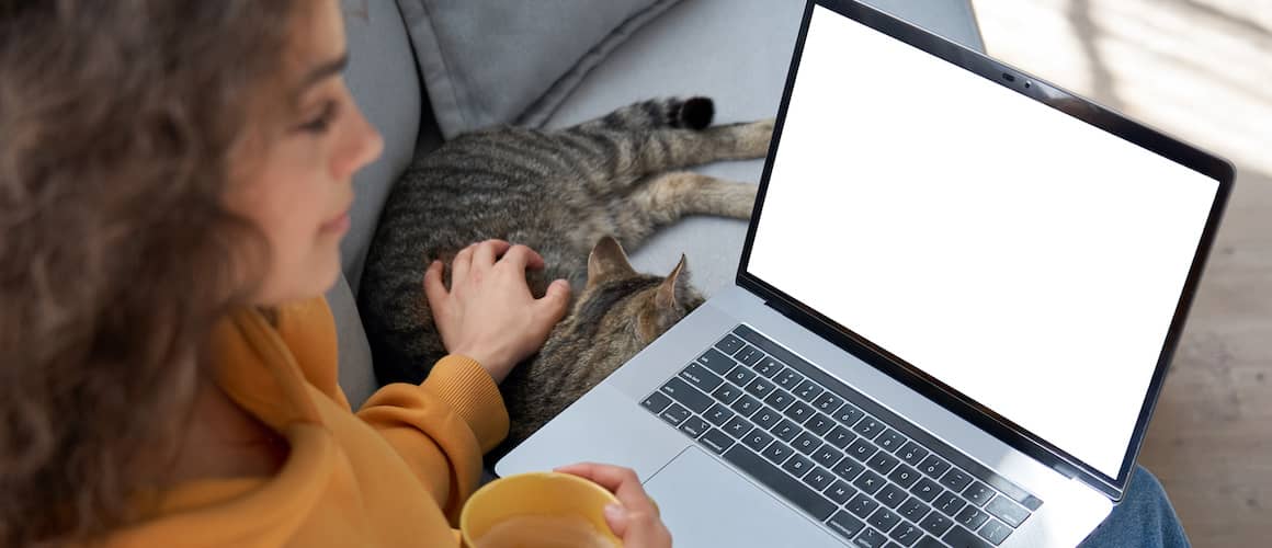 A female working at her laptop while petting a cat.