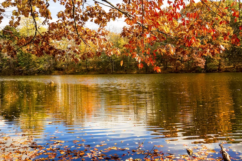 Pond in Bristol, Connecticut.