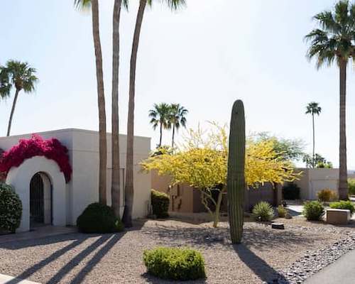 Arizona southwest style stucco white homes with Cacti and palm trees.
