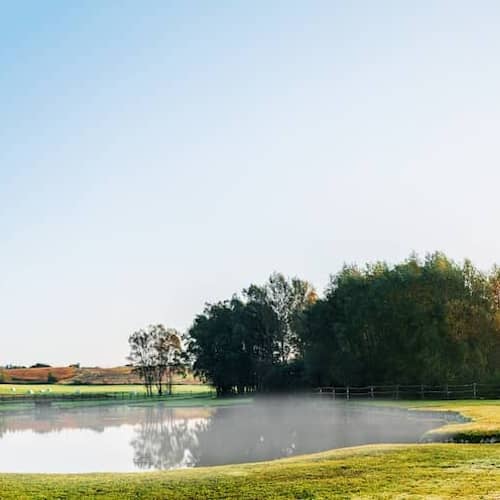 A serene landscape with trees and a pond in the background, creating a peaceful and natural setting.