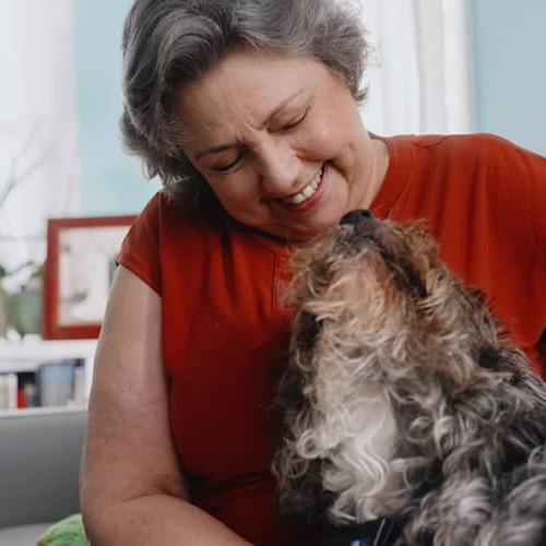 Woman snuggling fluffy dog on couch.