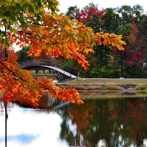 Bridge above water in Elm Park, located in Massachusetts.