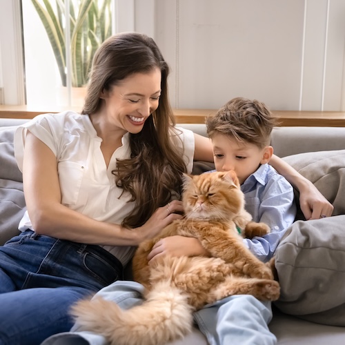Woman with son and large, orange cat on couch.